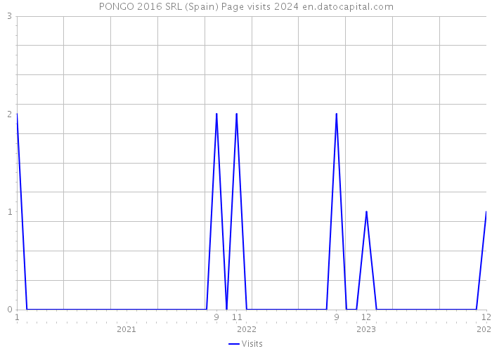 PONGO 2016 SRL (Spain) Page visits 2024 