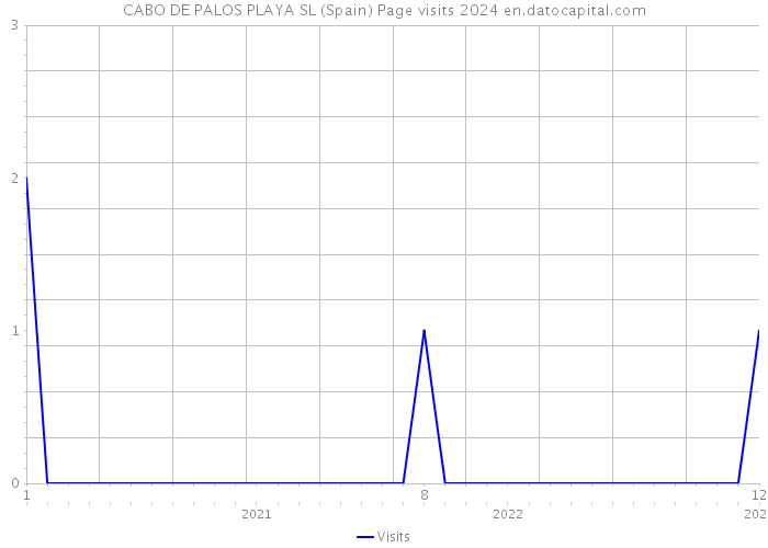 CABO DE PALOS PLAYA SL (Spain) Page visits 2024 