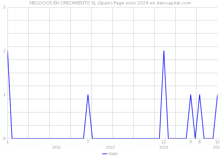 NEGOCIOS EN CRECIMIENTO SL (Spain) Page visits 2024 