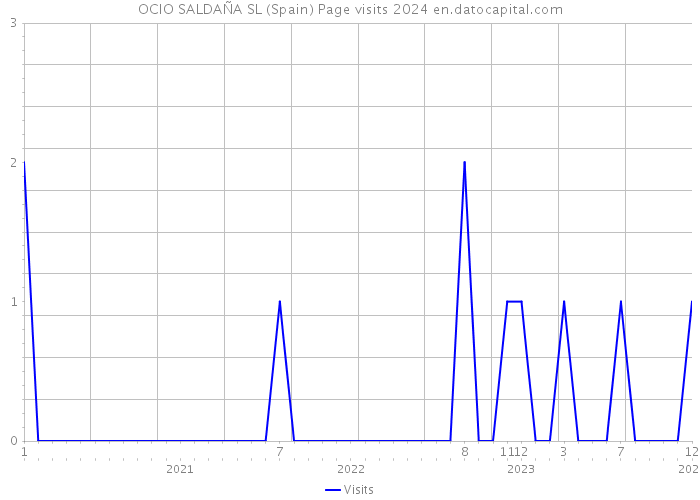 OCIO SALDAÑA SL (Spain) Page visits 2024 