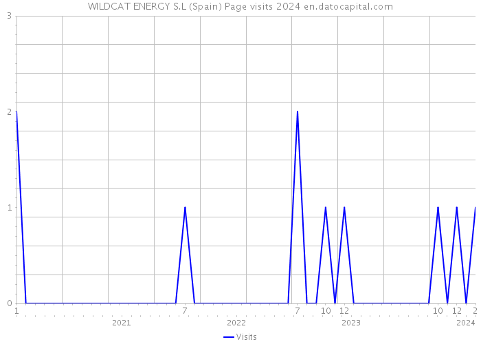 WILDCAT ENERGY S.L (Spain) Page visits 2024 