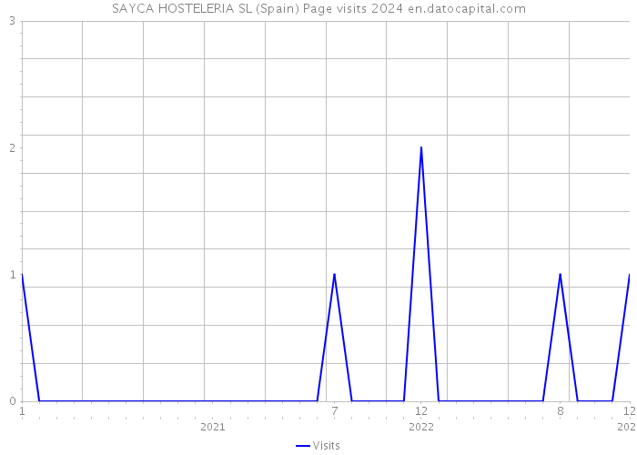 SAYCA HOSTELERIA SL (Spain) Page visits 2024 