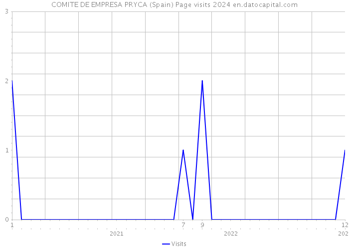 COMITE DE EMPRESA PRYCA (Spain) Page visits 2024 