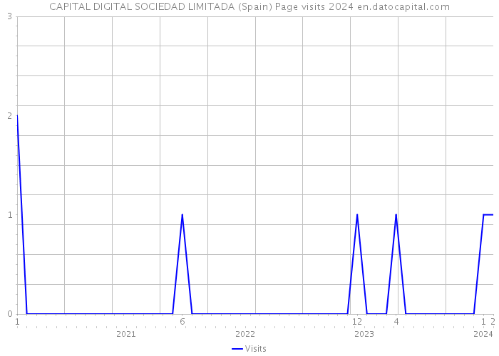 CAPITAL DIGITAL SOCIEDAD LIMITADA (Spain) Page visits 2024 