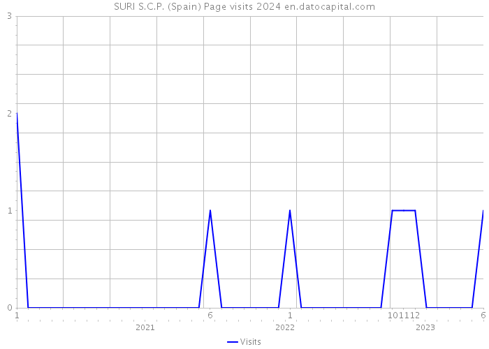 SURI S.C.P. (Spain) Page visits 2024 