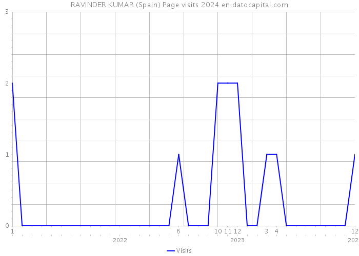RAVINDER KUMAR (Spain) Page visits 2024 