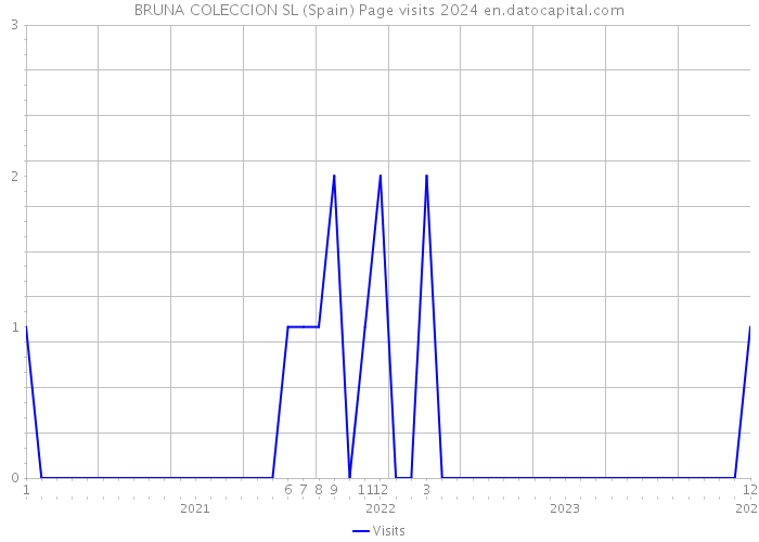 BRUNA COLECCION SL (Spain) Page visits 2024 