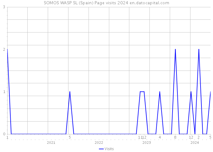 SOMOS WASP SL (Spain) Page visits 2024 