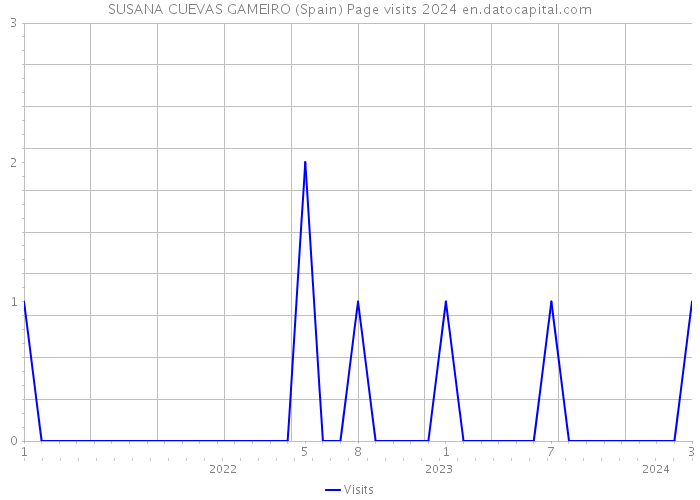 SUSANA CUEVAS GAMEIRO (Spain) Page visits 2024 