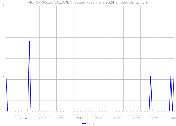 VICTOR SOLER GALLARDO (Spain) Page visits 2024 