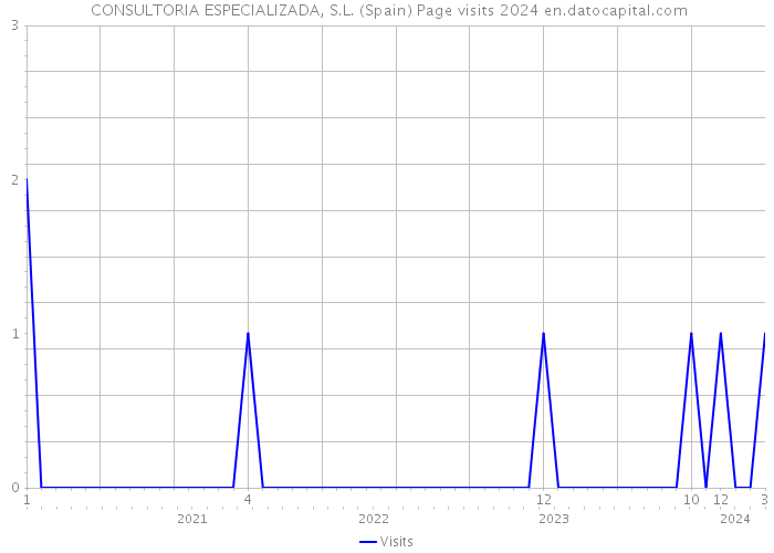  CONSULTORIA ESPECIALIZADA, S.L. (Spain) Page visits 2024 