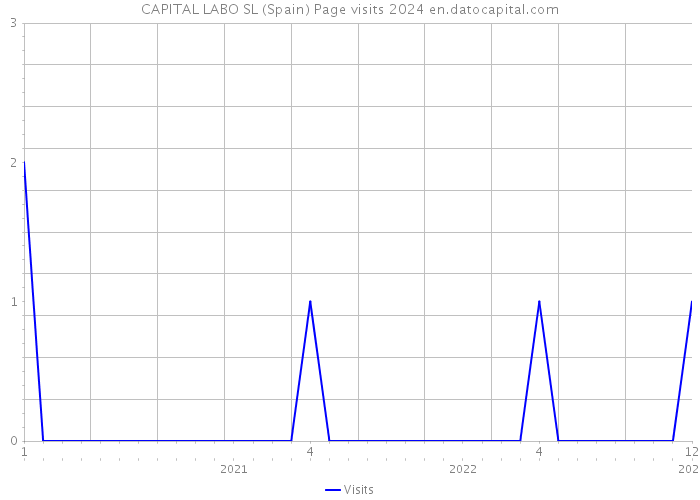 CAPITAL LABO SL (Spain) Page visits 2024 
