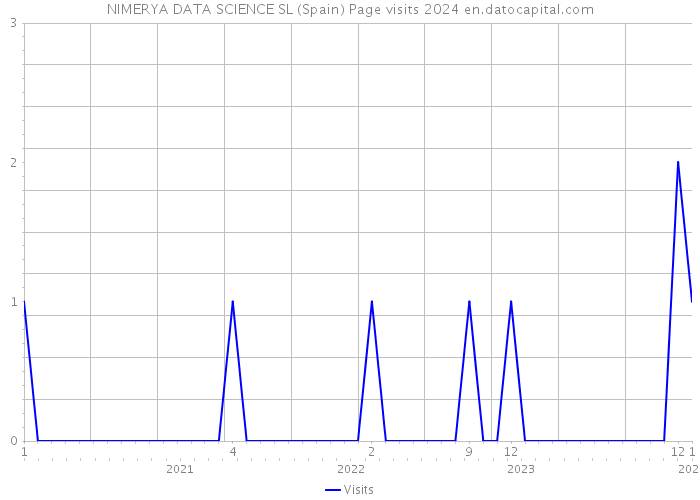 NIMERYA DATA SCIENCE SL (Spain) Page visits 2024 
