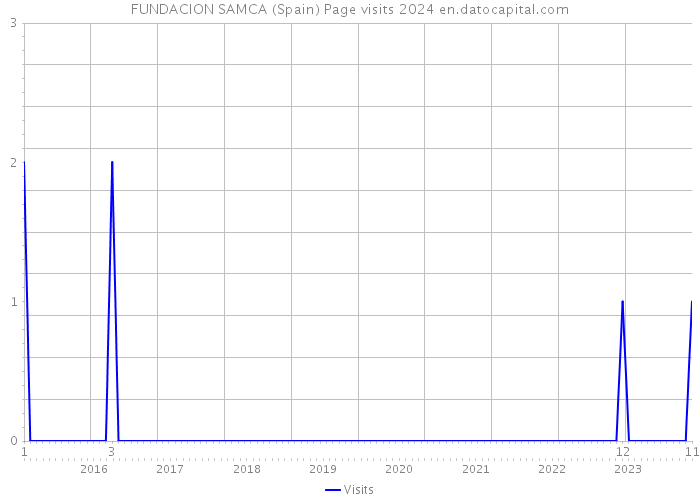 FUNDACION SAMCA (Spain) Page visits 2024 