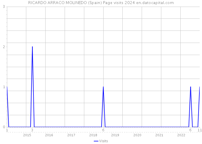RICARDO ARRACO MOLINEDO (Spain) Page visits 2024 