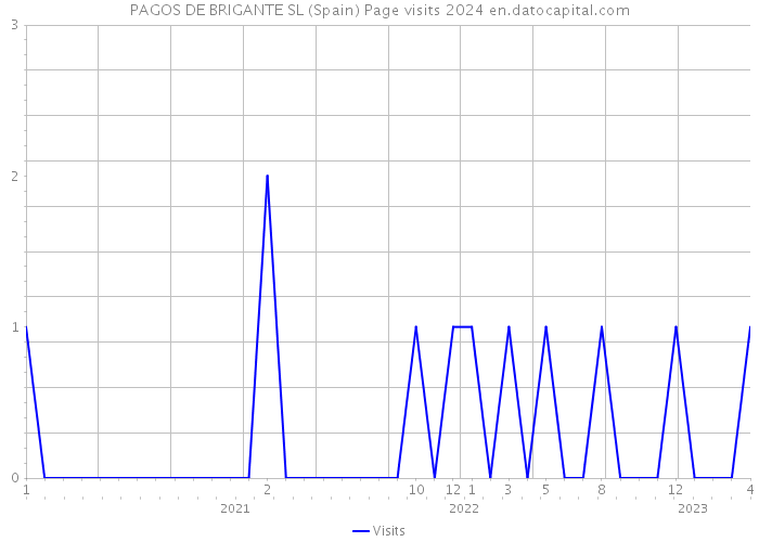 PAGOS DE BRIGANTE SL (Spain) Page visits 2024 