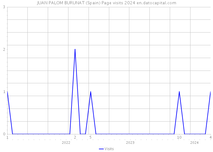 JUAN PALOM BURUNAT (Spain) Page visits 2024 