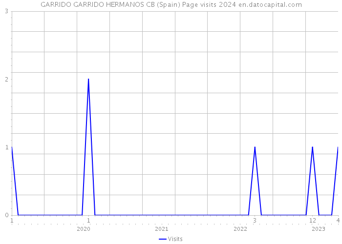 GARRIDO GARRIDO HERMANOS CB (Spain) Page visits 2024 