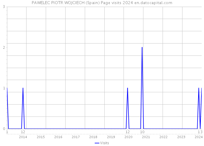 PAWELEC PIOTR WOJCIECH (Spain) Page visits 2024 