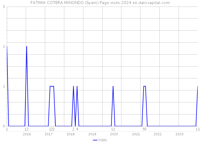 FATIMA COTERA MINONDO (Spain) Page visits 2024 
