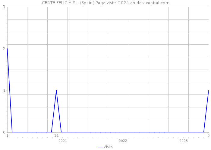 CERTE FELICIA S.L (Spain) Page visits 2024 