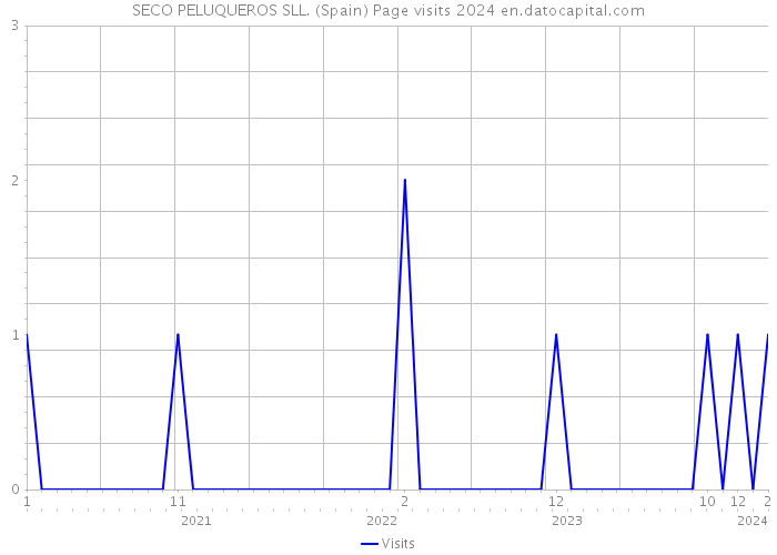 SECO PELUQUEROS SLL. (Spain) Page visits 2024 