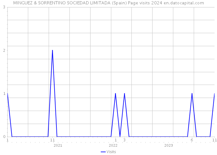 MINGUEZ & SORRENTINO SOCIEDAD LIMITADA (Spain) Page visits 2024 