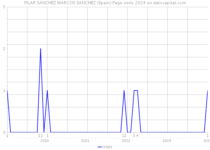 PILAR SANCHEZ MARCOS SANCHEZ (Spain) Page visits 2024 