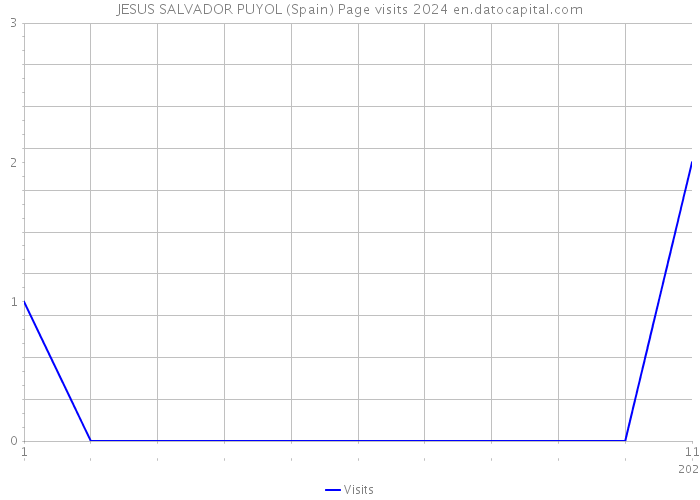 JESUS SALVADOR PUYOL (Spain) Page visits 2024 