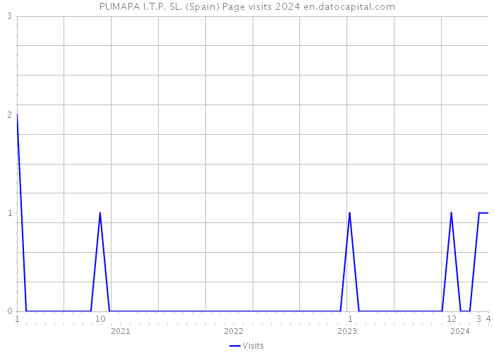 PUMAPA I.T.P. SL. (Spain) Page visits 2024 