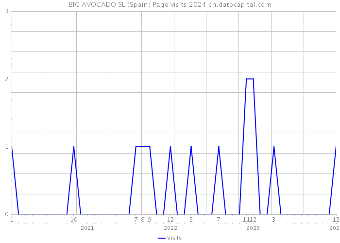 BIG AVOCADO SL (Spain) Page visits 2024 