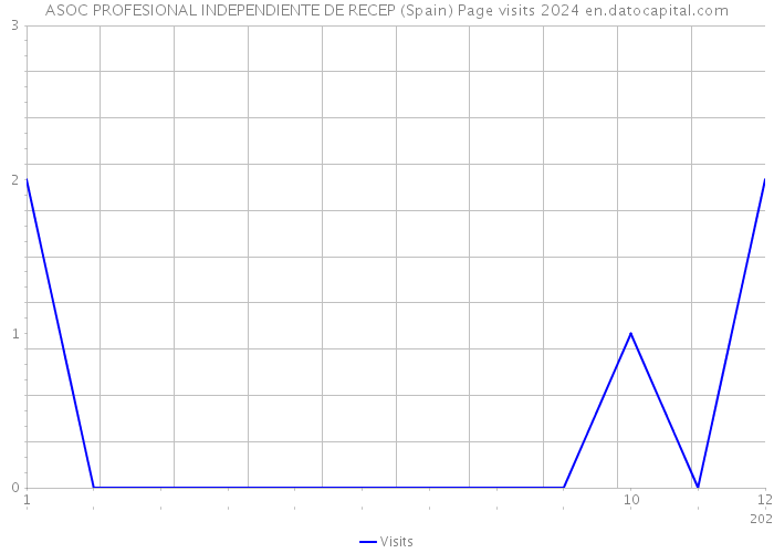 ASOC PROFESIONAL INDEPENDIENTE DE RECEP (Spain) Page visits 2024 