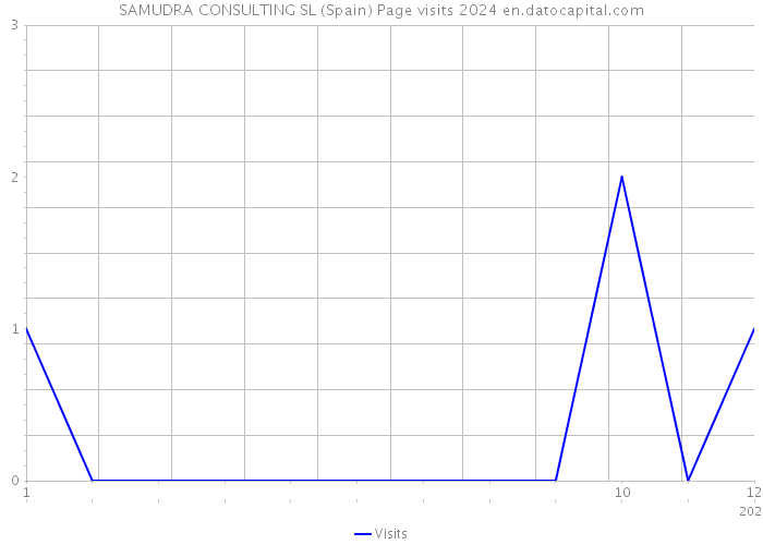 SAMUDRA CONSULTING SL (Spain) Page visits 2024 