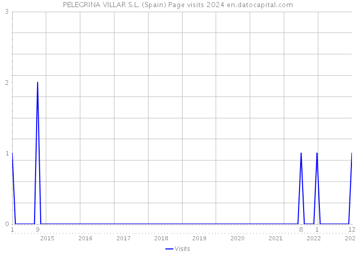 PELEGRINA VILLAR S.L. (Spain) Page visits 2024 