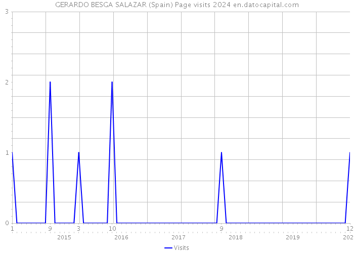 GERARDO BESGA SALAZAR (Spain) Page visits 2024 