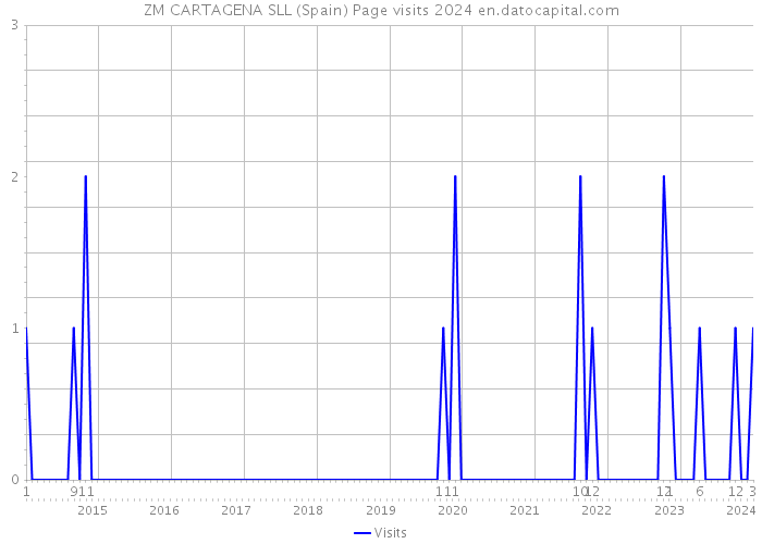 ZM CARTAGENA SLL (Spain) Page visits 2024 