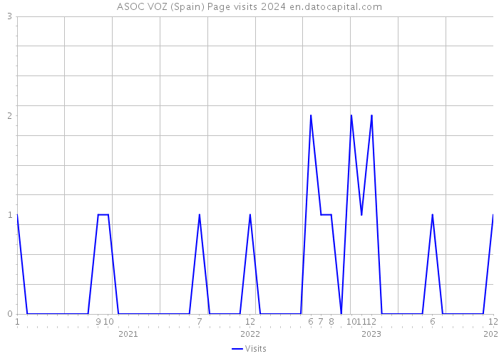 ASOC VOZ (Spain) Page visits 2024 