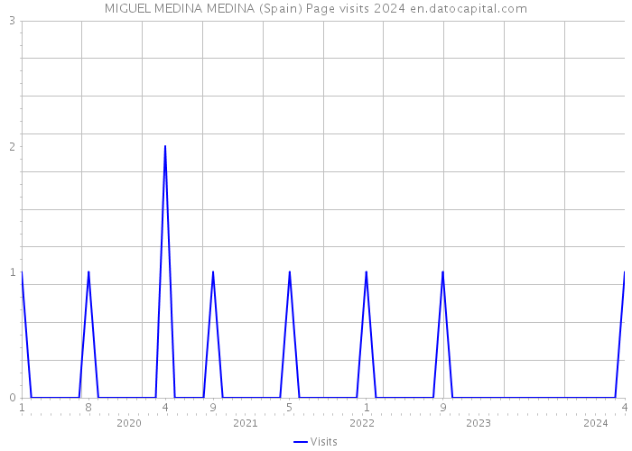 MIGUEL MEDINA MEDINA (Spain) Page visits 2024 