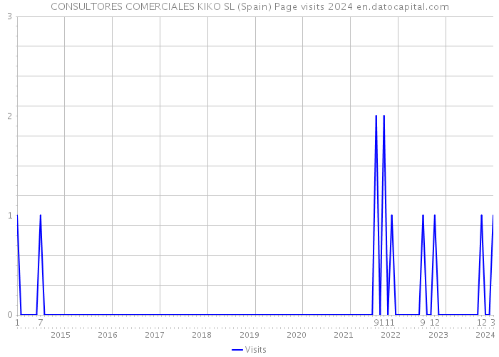 CONSULTORES COMERCIALES KIKO SL (Spain) Page visits 2024 