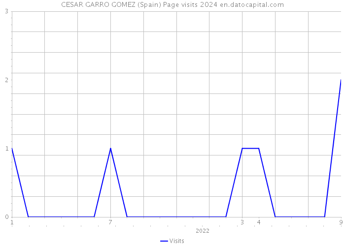 CESAR GARRO GOMEZ (Spain) Page visits 2024 