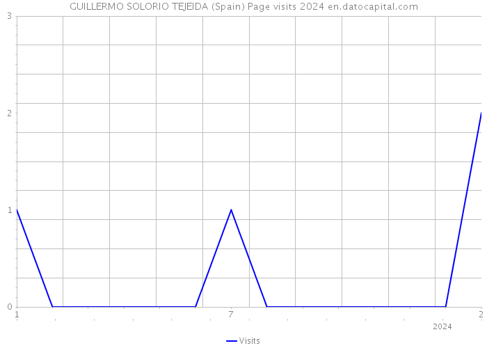 GUILLERMO SOLORIO TEJEIDA (Spain) Page visits 2024 