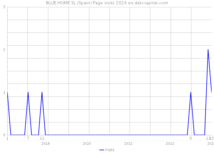 BLUE HOME SL (Spain) Page visits 2024 