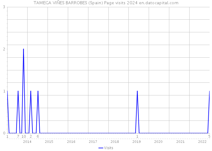 TAMEGA VIÑES BARROBES (Spain) Page visits 2024 