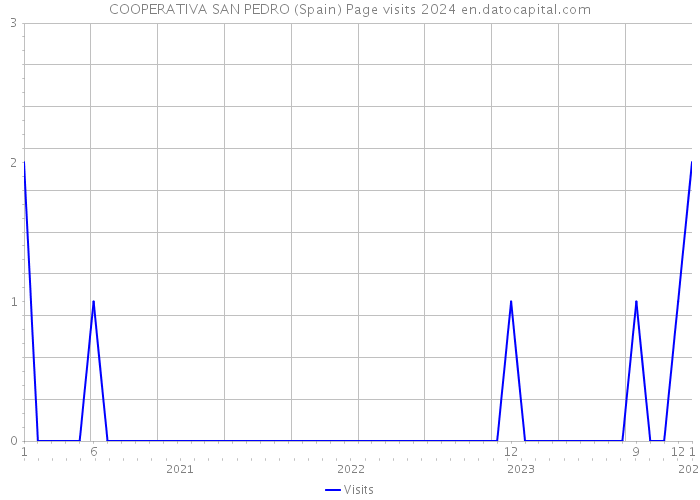 COOPERATIVA SAN PEDRO (Spain) Page visits 2024 
