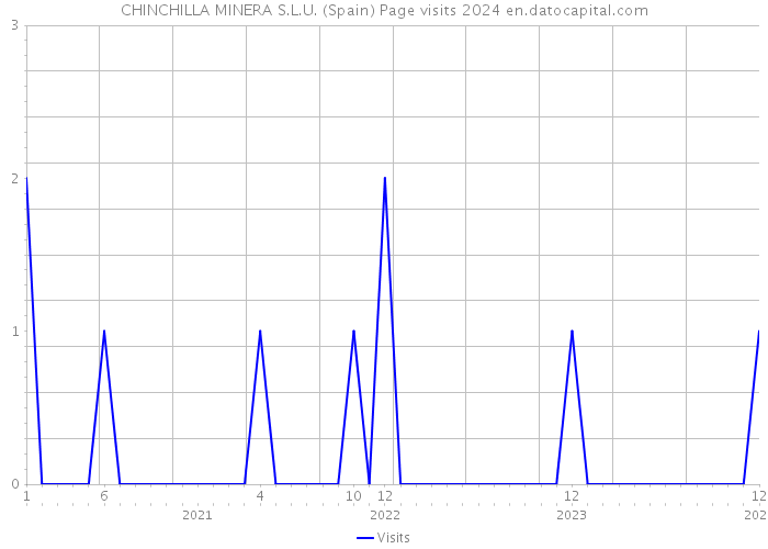 CHINCHILLA MINERA S.L.U. (Spain) Page visits 2024 