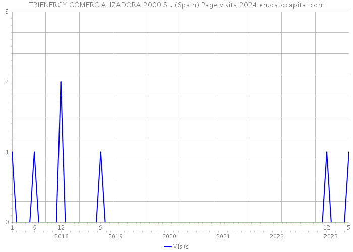 TRIENERGY COMERCIALIZADORA 2000 SL. (Spain) Page visits 2024 