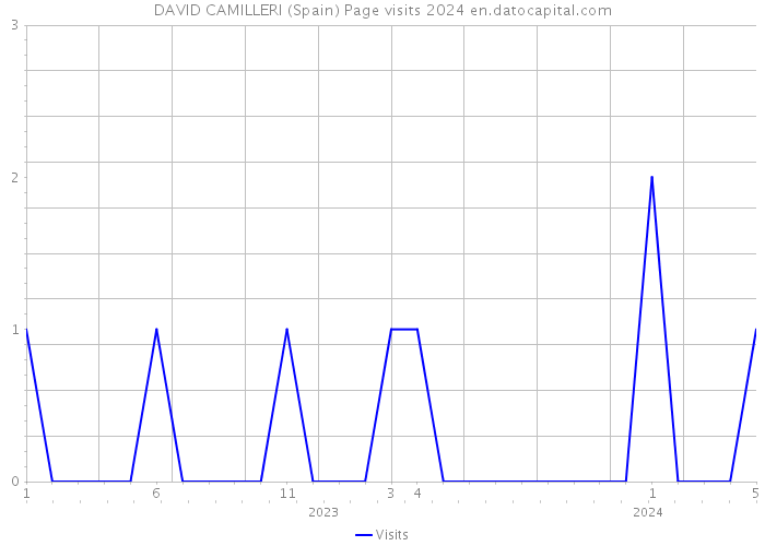 DAVID CAMILLERI (Spain) Page visits 2024 