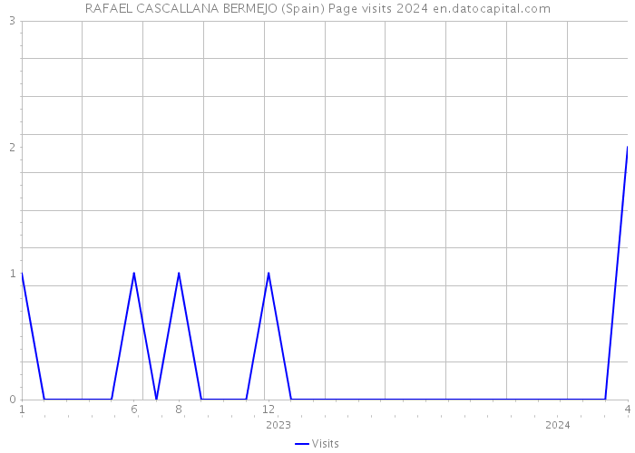 RAFAEL CASCALLANA BERMEJO (Spain) Page visits 2024 