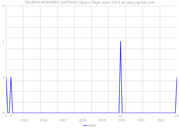 TEIXEIRA MONTEIRO ANTONIO (Spain) Page visits 2024 