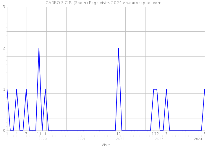 CARRO S.C.P. (Spain) Page visits 2024 